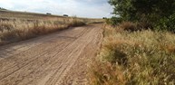 camino .jpg