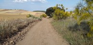 camino 2.jpg