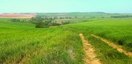 CAMINO DE CAMARMA.jpg