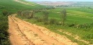 CAMINO DE GUADALAJARA.jpg