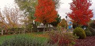 IMG_20181116_163748.jpg