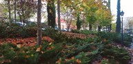 jardin circunvalacion .jpg