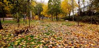 paisaje otoñal .jpg