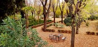 parque plantio .jpg