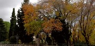 parque plantio 2.jpg