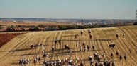 DSC_0959.JPG