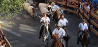 IMG_3254.JPG