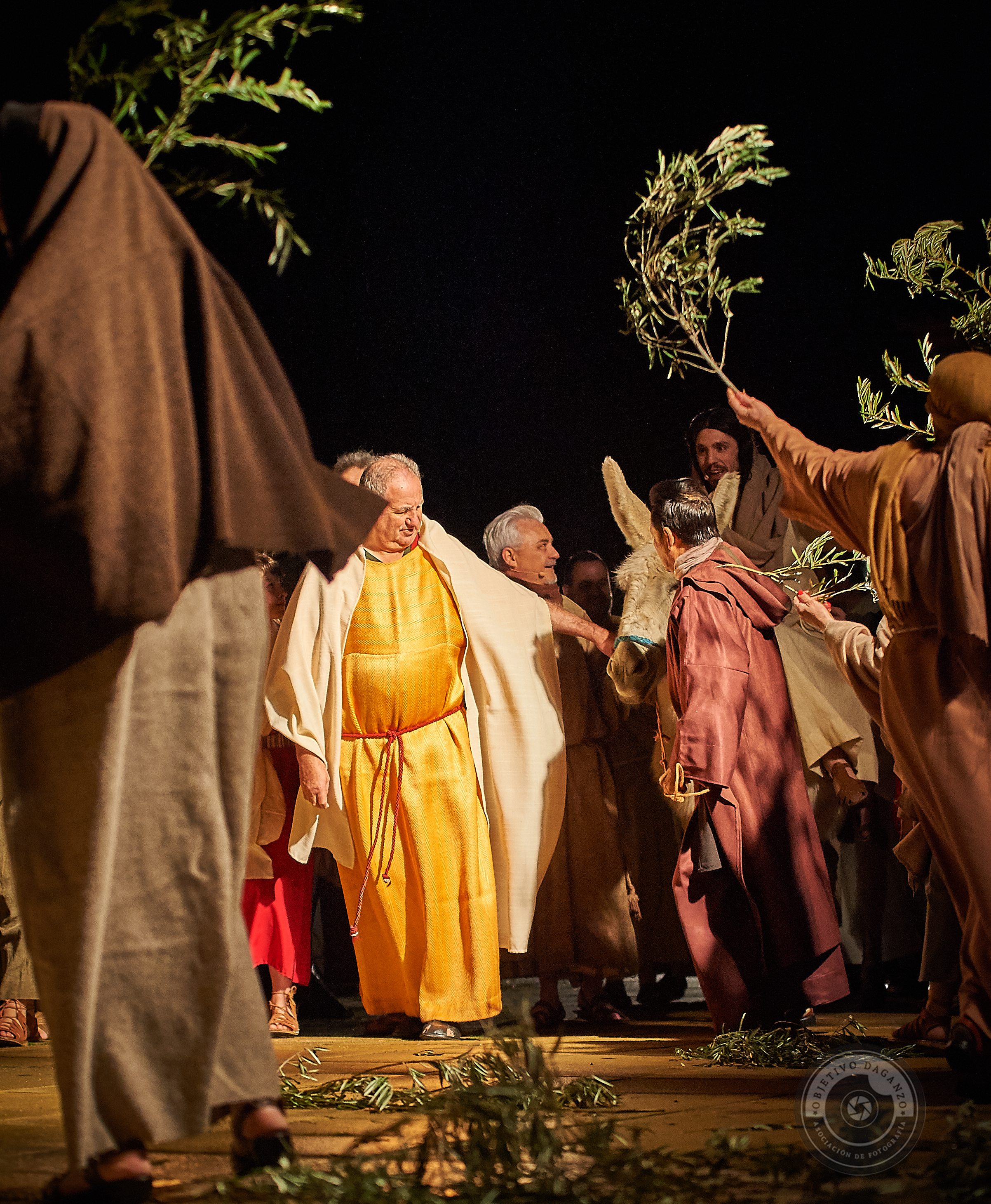 Pasion 2018-059 2.JPG