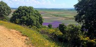 LA GALIANA 1.jpg