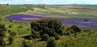 LA GALIANA 2.jpg
