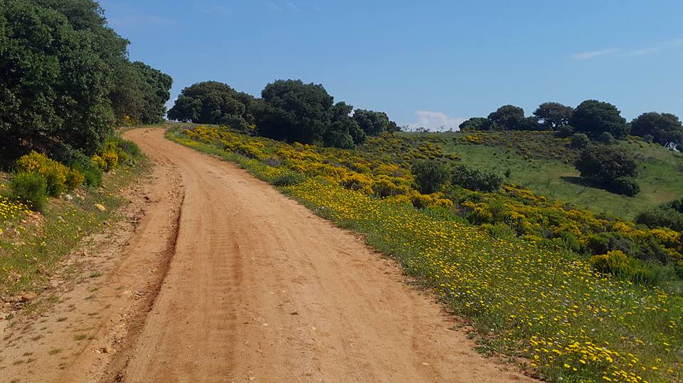 LA GALIANA 3 (2).jpg