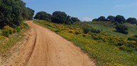 LA GALIANA 3 (2).jpg