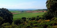 LA GALIANA 4.jpg