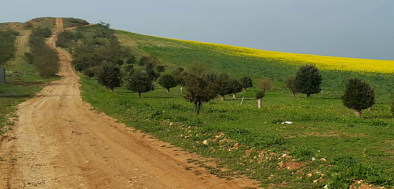 LA GALIANA ENCINAS DEL 11-M.jpg