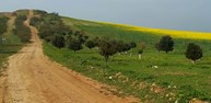 LA GALIANA ENCINAS DEL 11-M.jpg